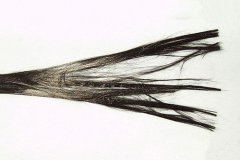 3k碳纖維管力學(xué)性能是否優(yōu)于24k碳纖維管？